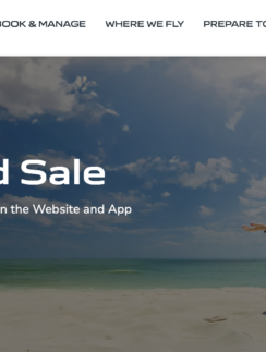 a woman sitting on a beach